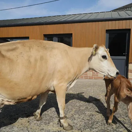 Semesterbostad Carrock *